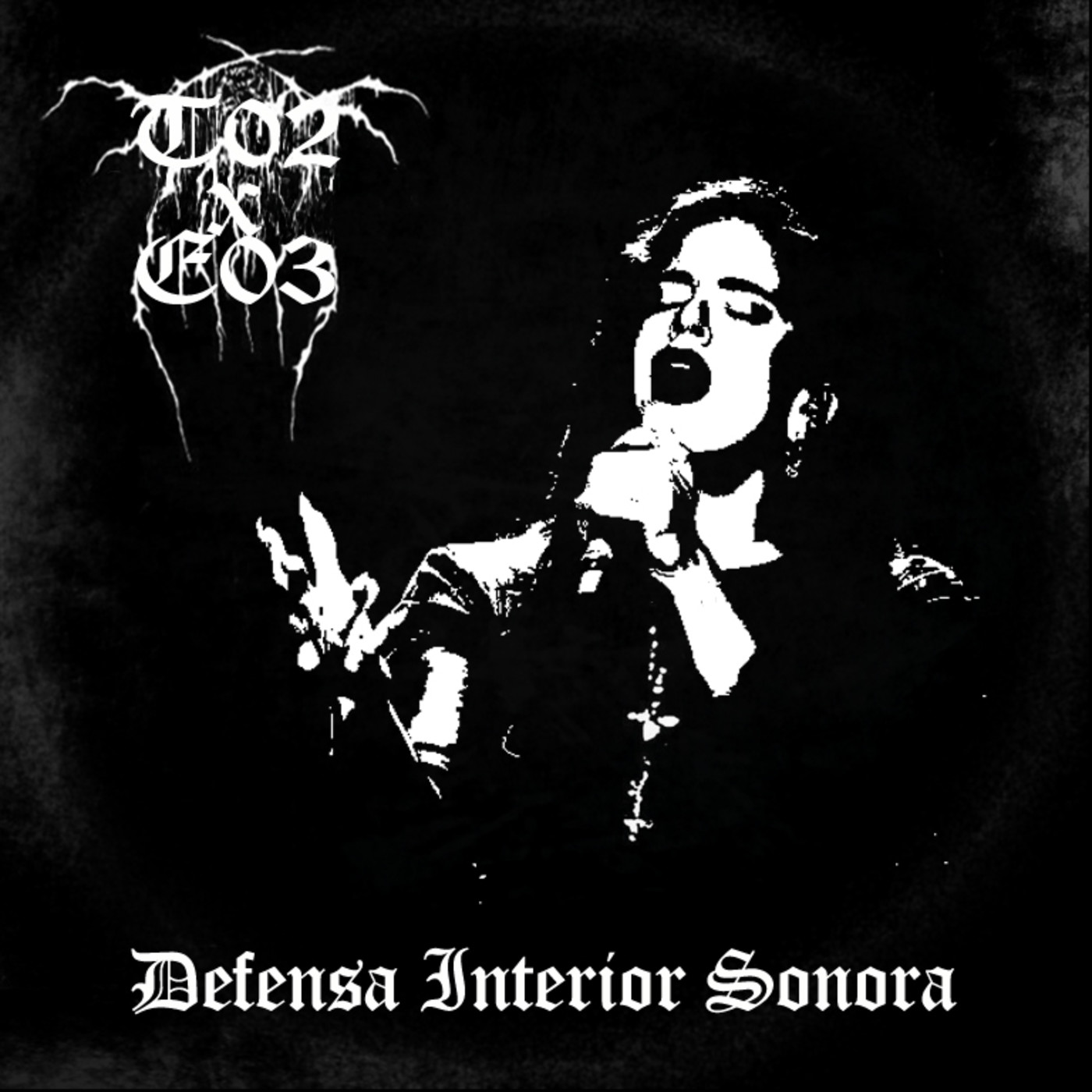 Defensa Interior Sonora