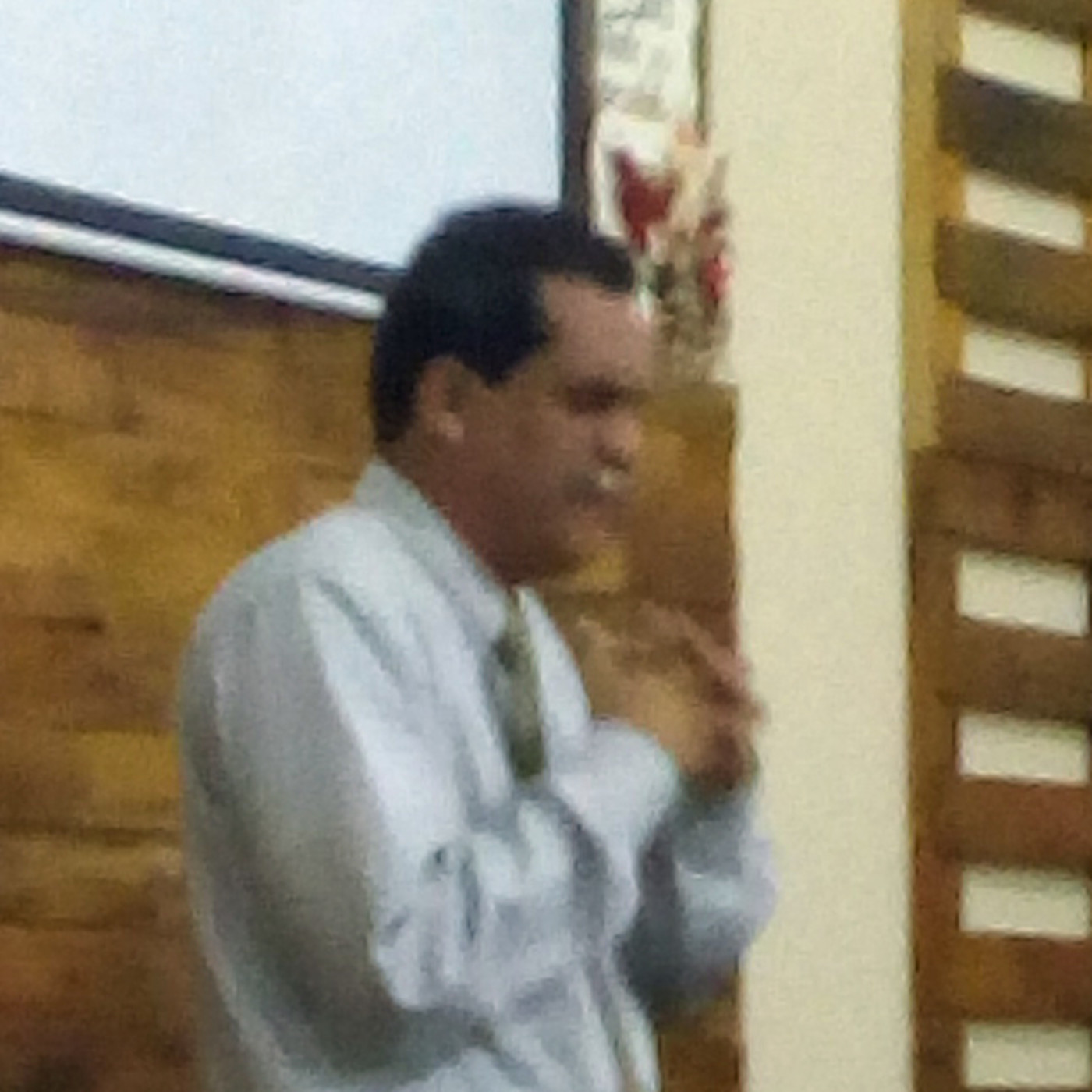 Sermones IBR