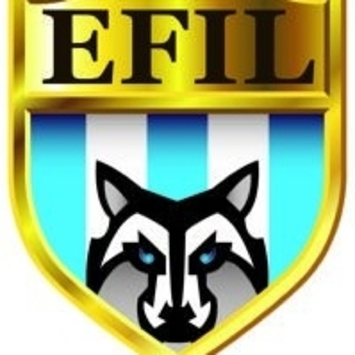 Liga Lobense Primera Division