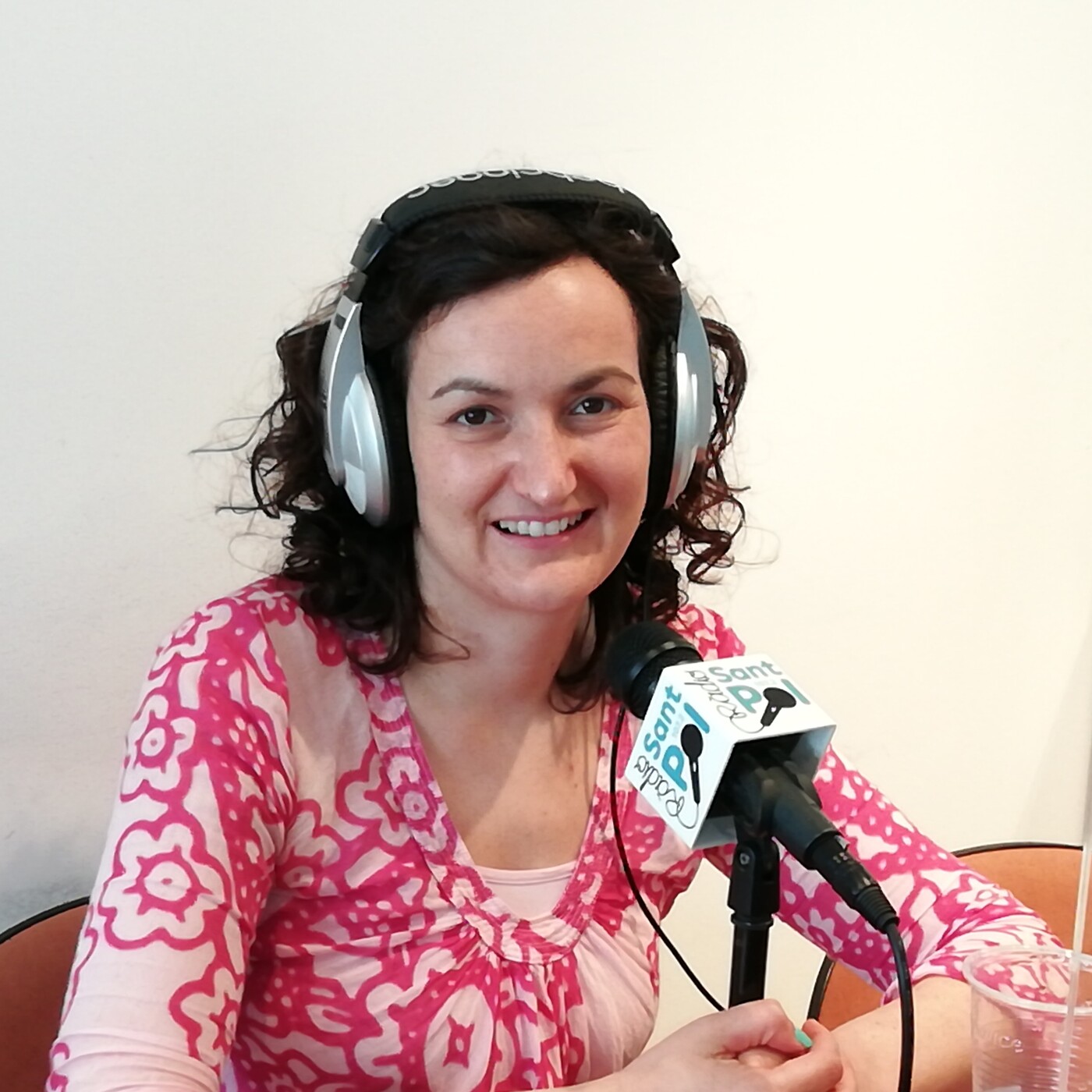 Entrevistes