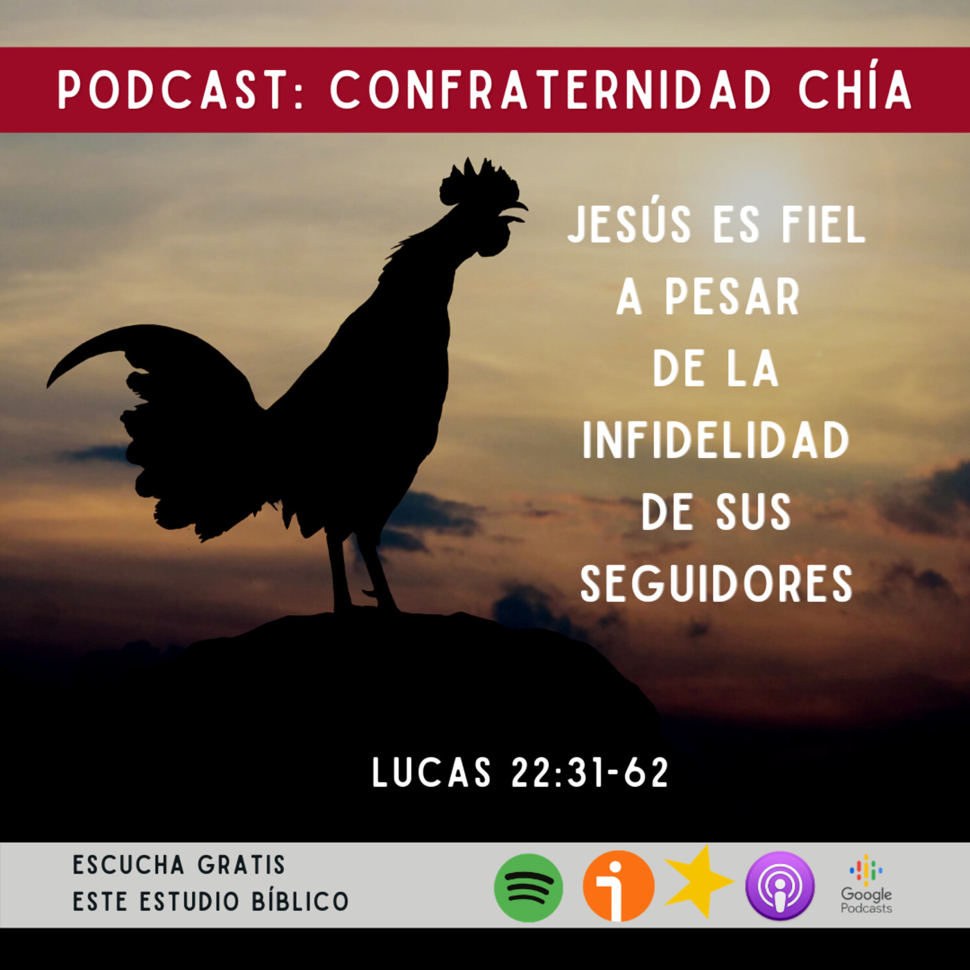 Confraternidad Chía - Seguidores de Jesús