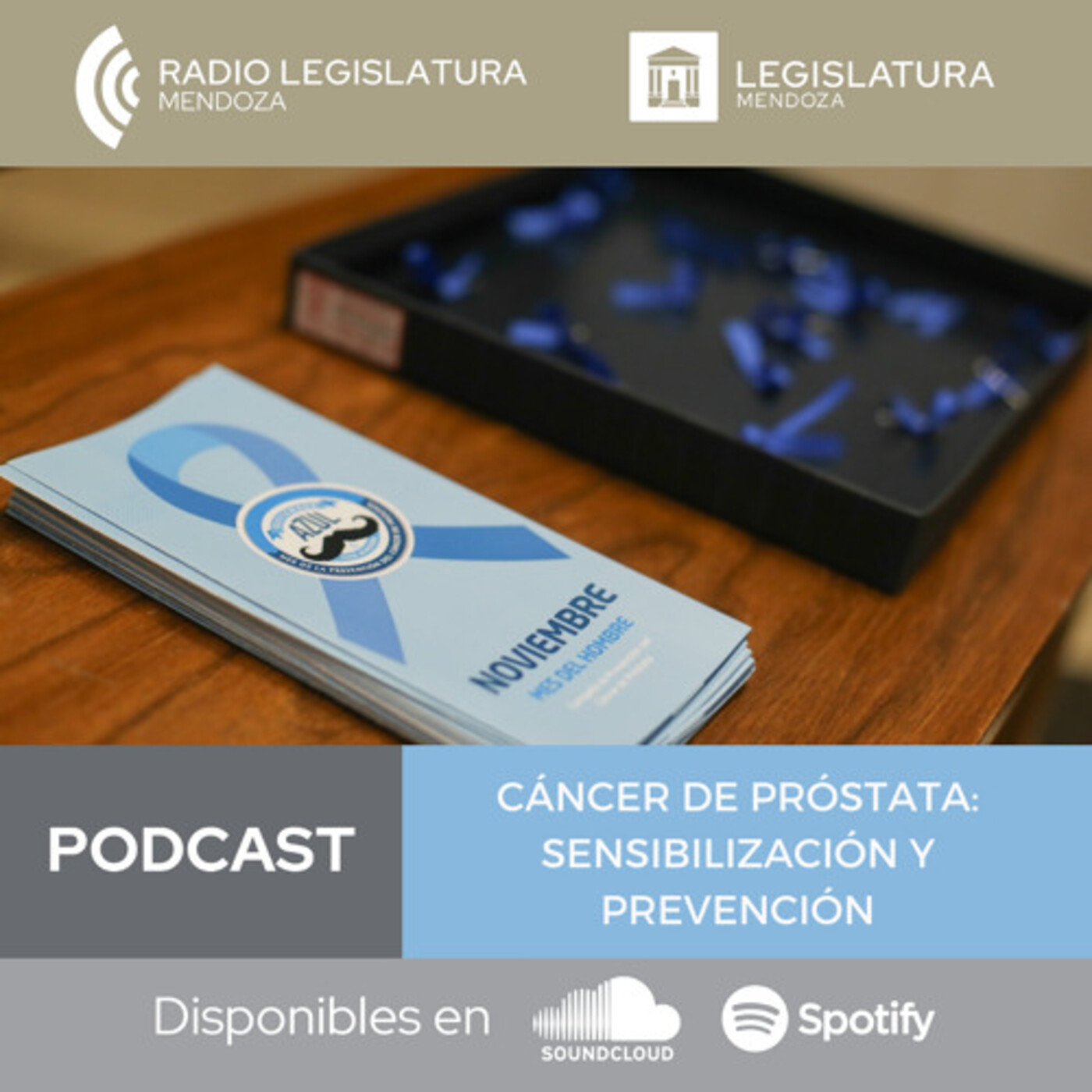 PODCAST Radio Legislatura