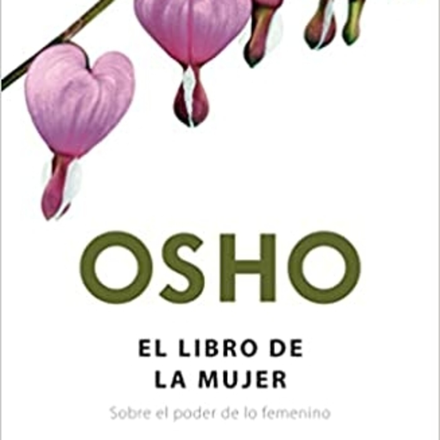 Disfrutando Leyendo