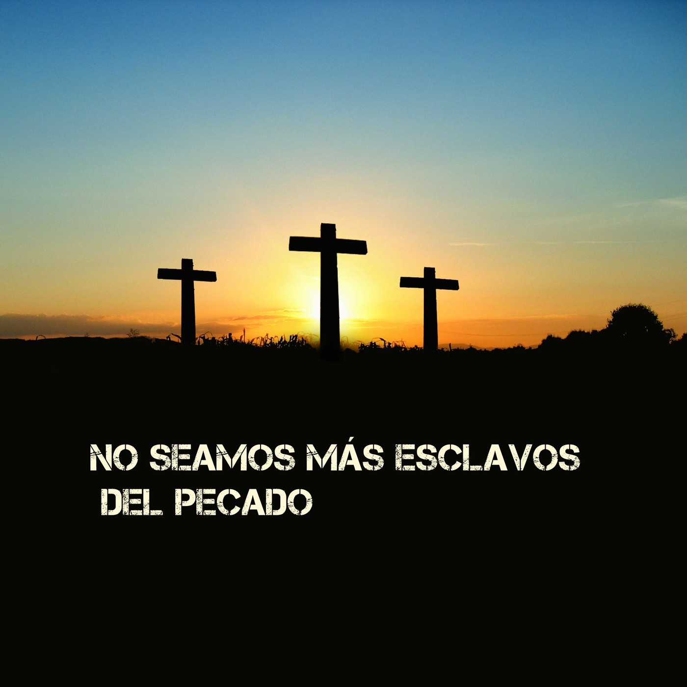 No sirvamos más al pecado episode artwork