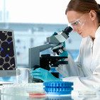 NADA ES COMO FUE: Experimentos científicos