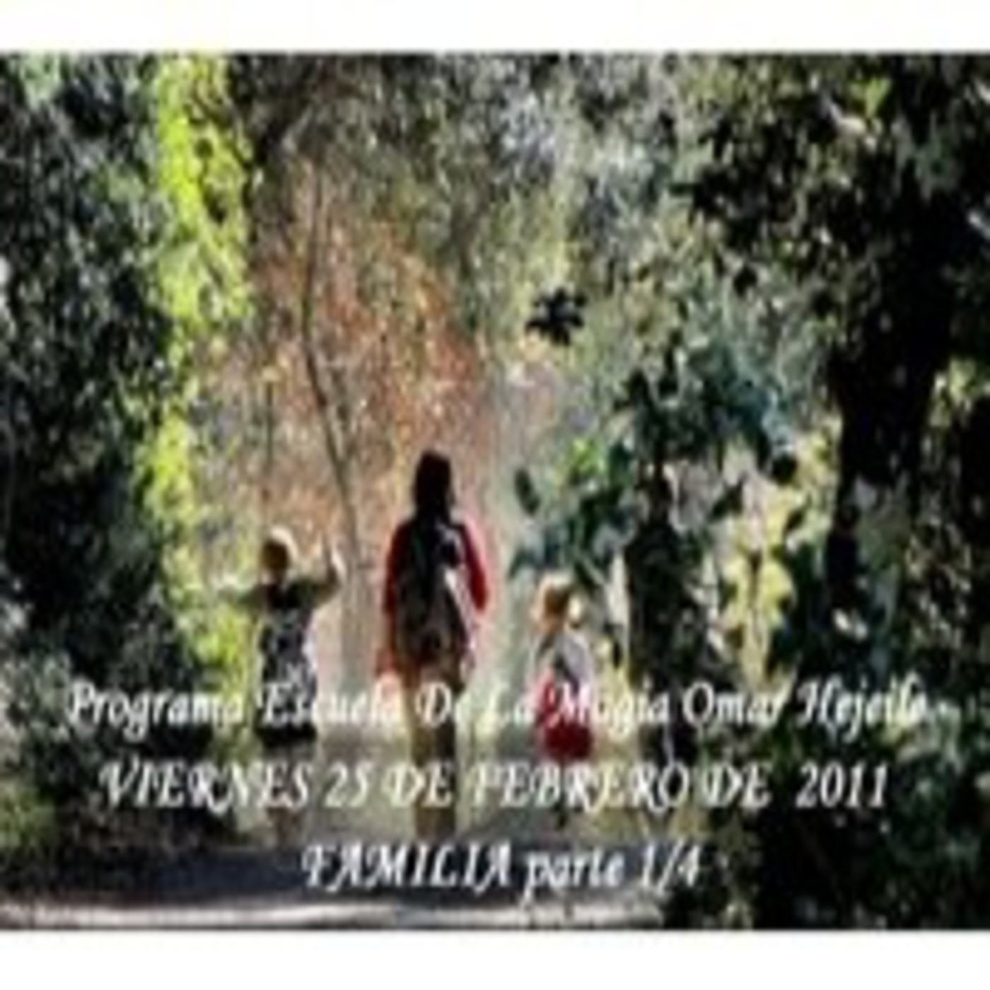 Programas Escuela de Magia (Recopilación)
