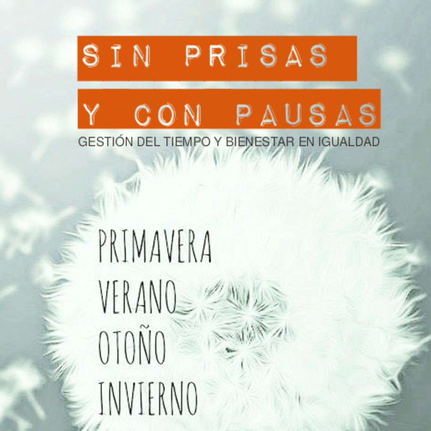SIN PRISAS Y CON PAUSAS - Igualdad y bienestar