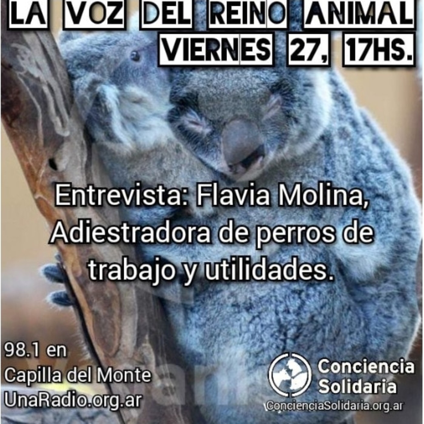 Extracto de #LaVozDelReinoAnimal 27.09.19 episode artwork