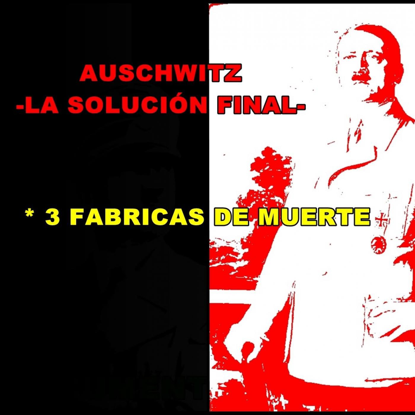 Auschwitz La Solución Final: Fabricas de Muerte (BBC) episode artwork