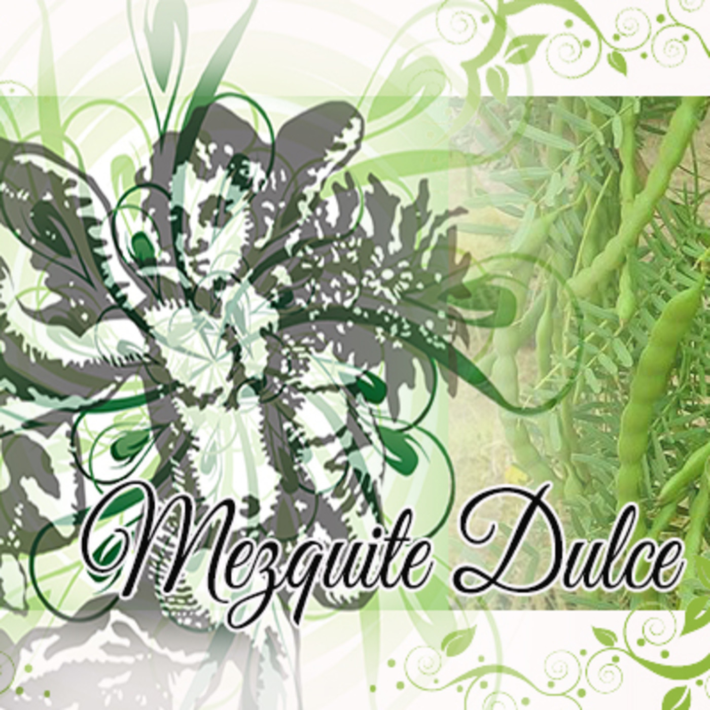 El Angel de tu Salud - MEZQUITE DULCE episode artwork