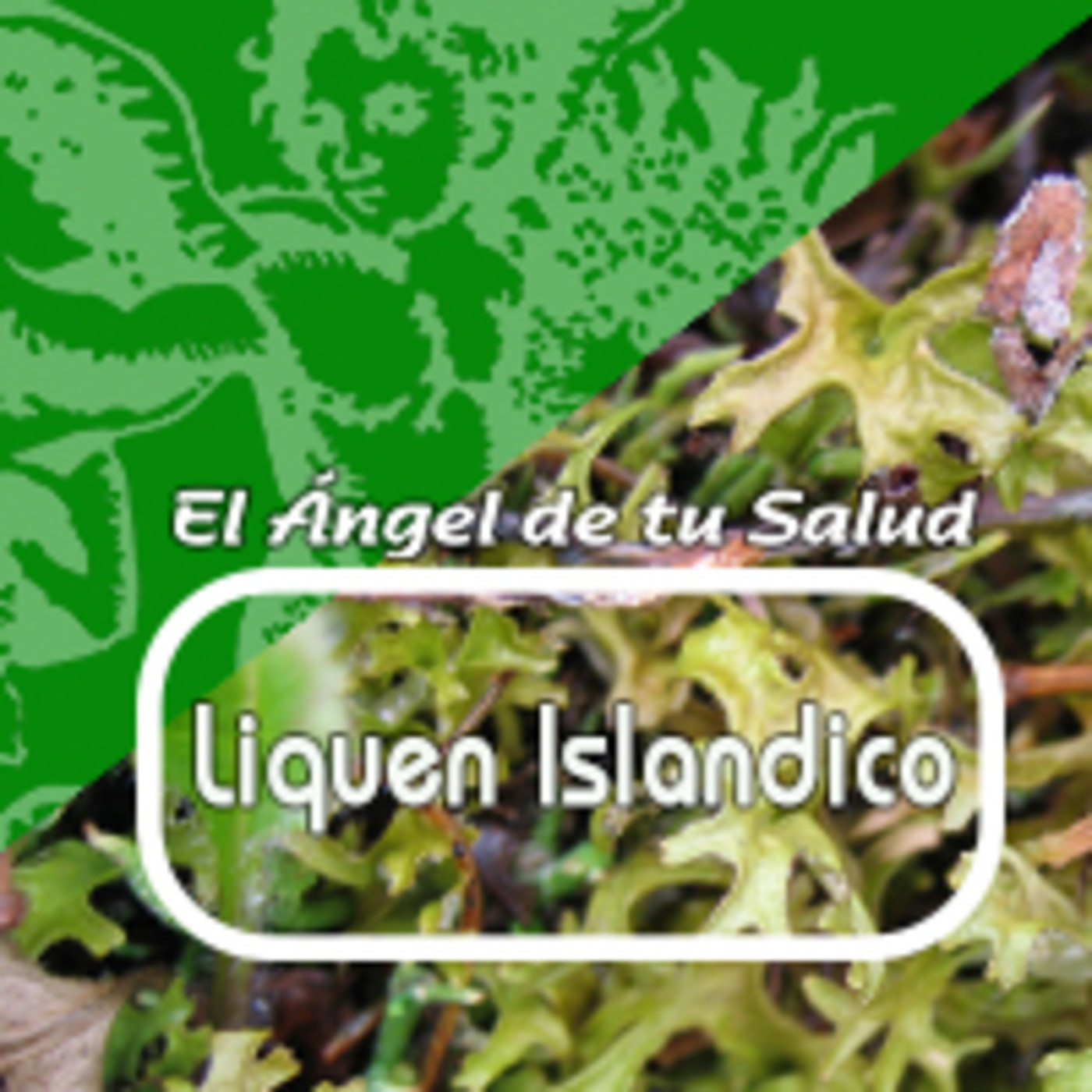 El Ángel de tu Salud - LÍQUEN ISLANDICO episode artwork