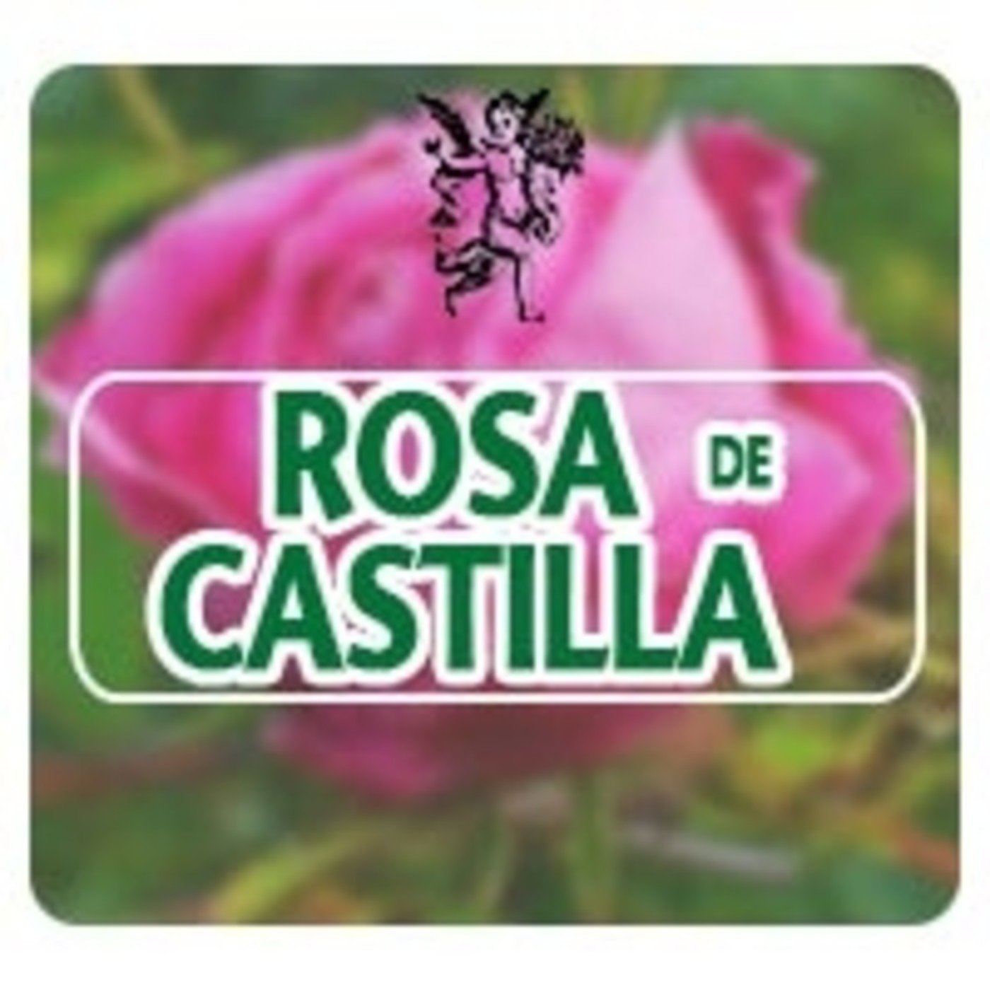 El Angel de tu Salud - ROSA DE CASTILLA* episode artwork