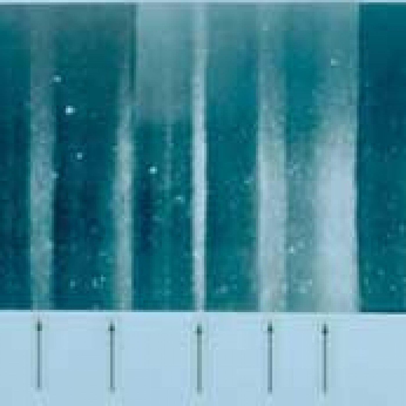 La Brújula de la Ciencia