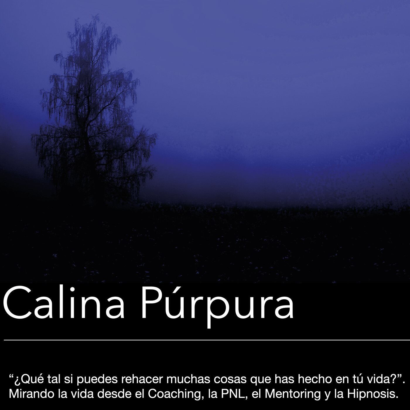 Paul Anwandter, Marisol Castillo y Silvana Trigo