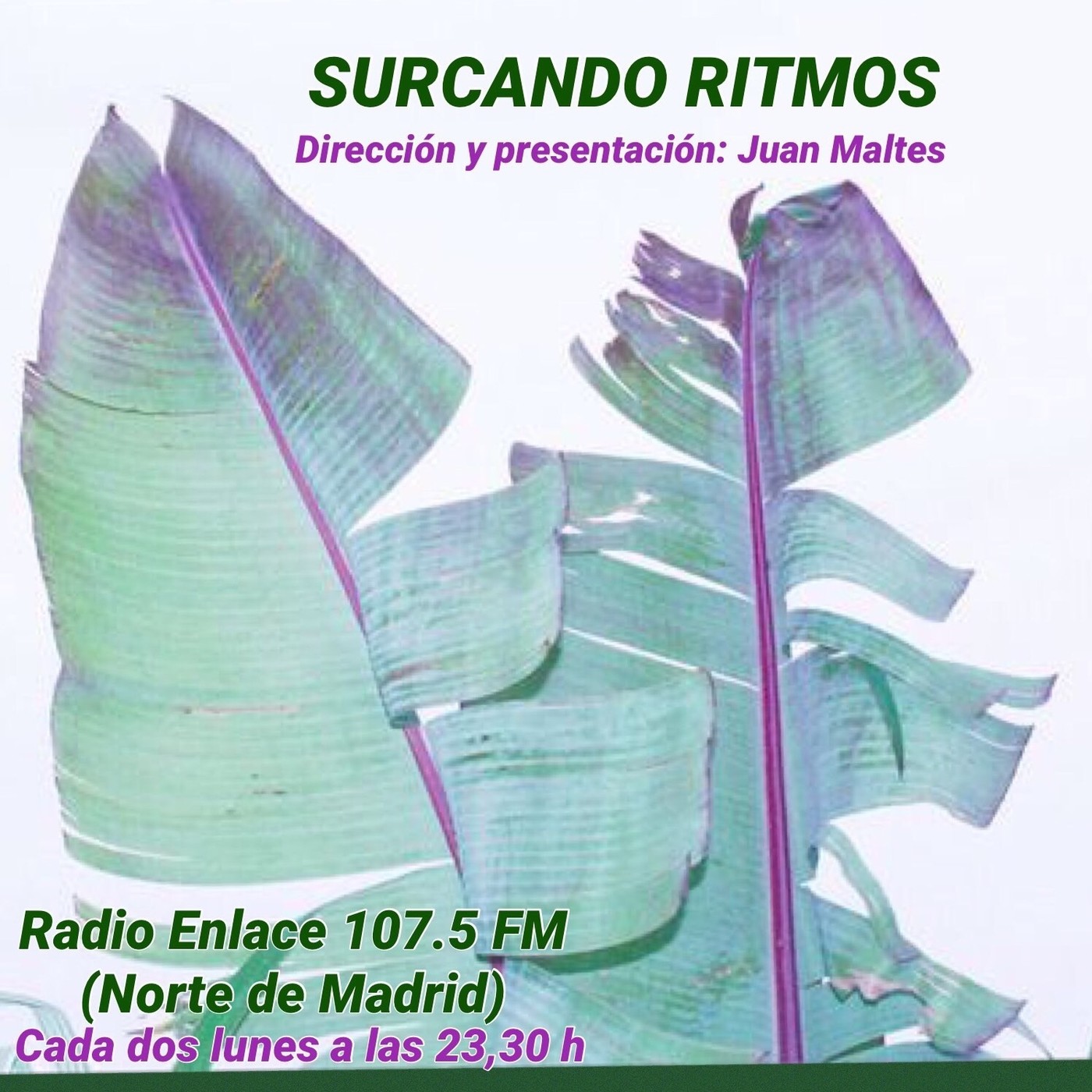 Surcando Ritmos