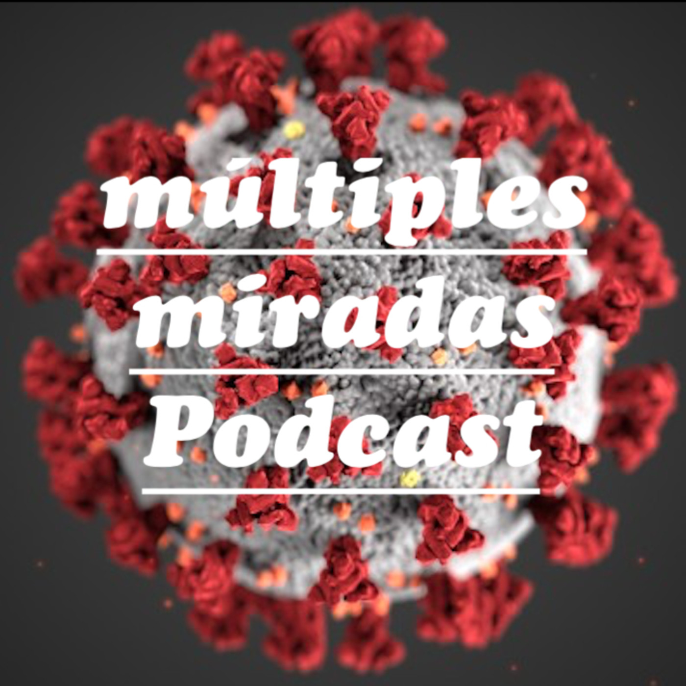 Múltiples Miradas