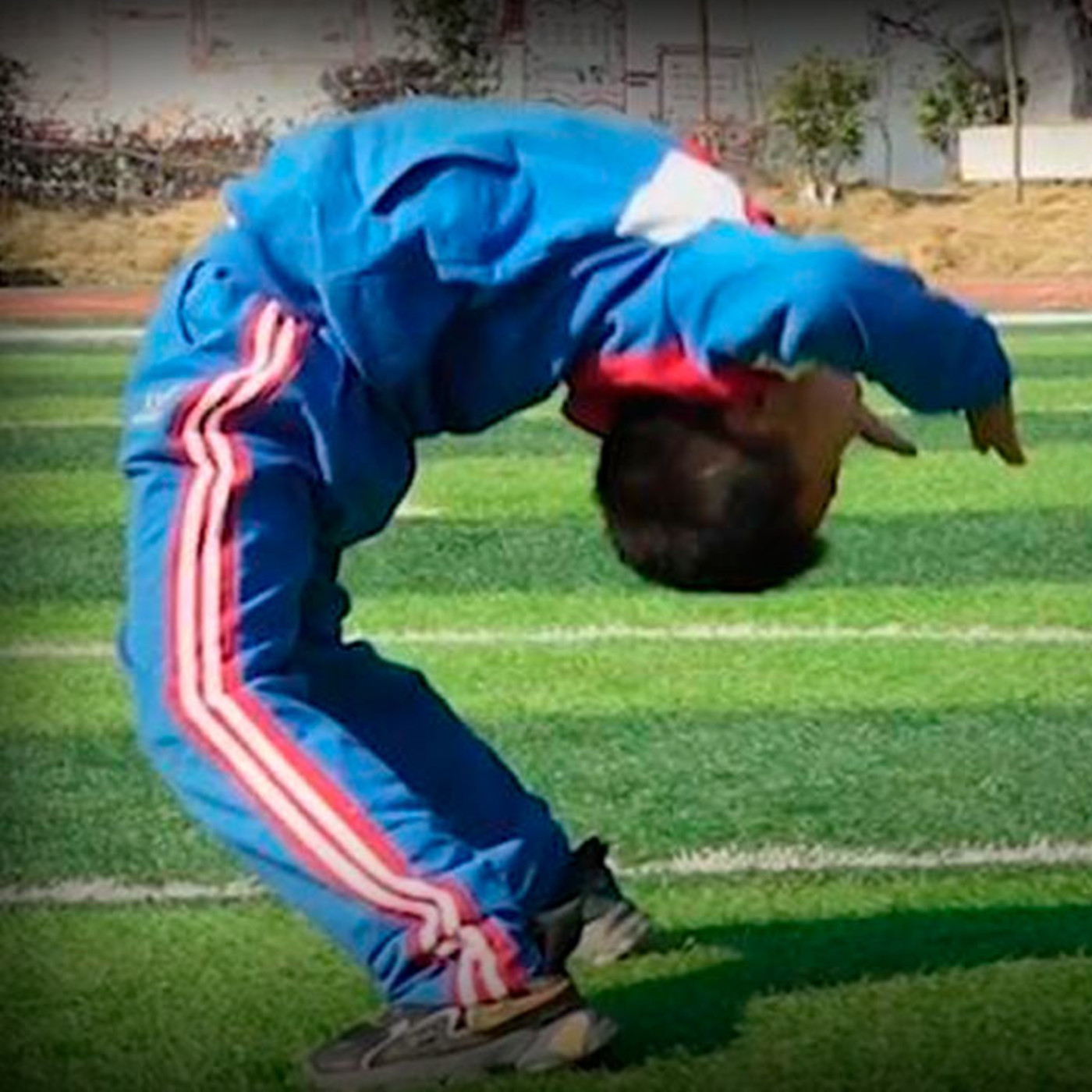 Dragonz | Artes Marciales y Deportes de Contacto