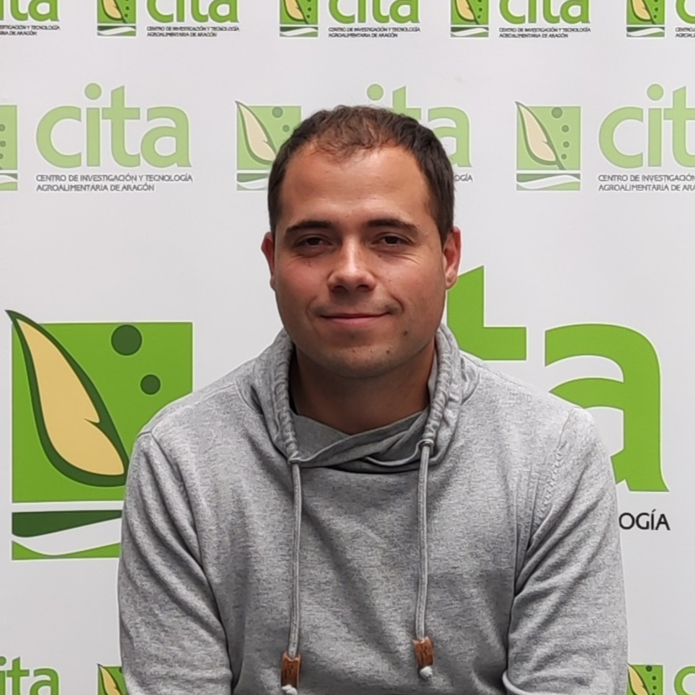 CITA de Aragón: Apariciones en radio