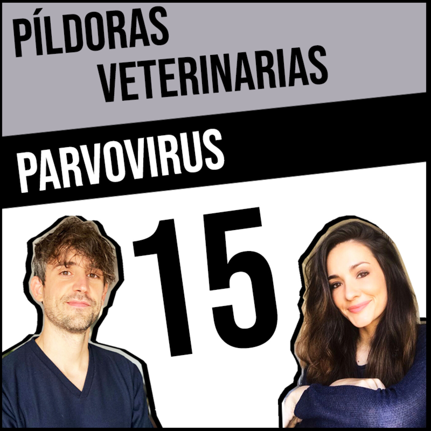 Píldoras Veterinarias