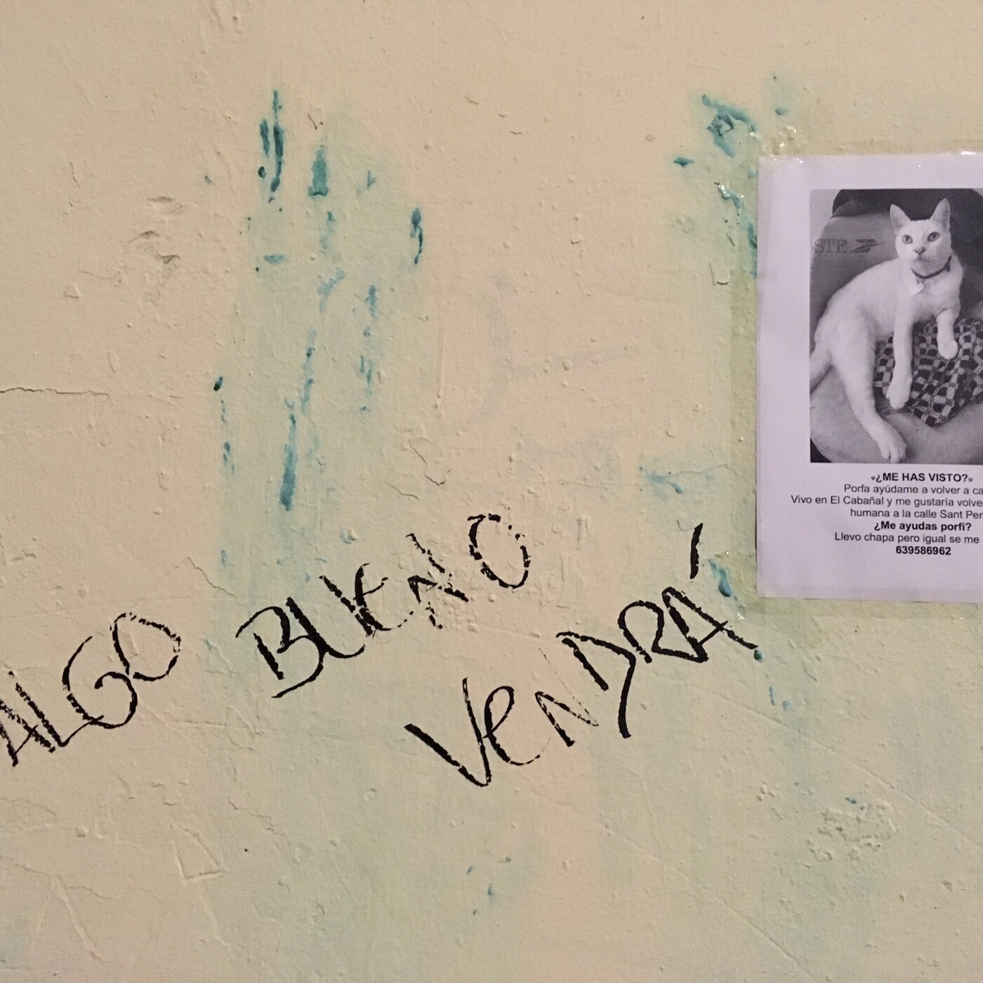 Breverías