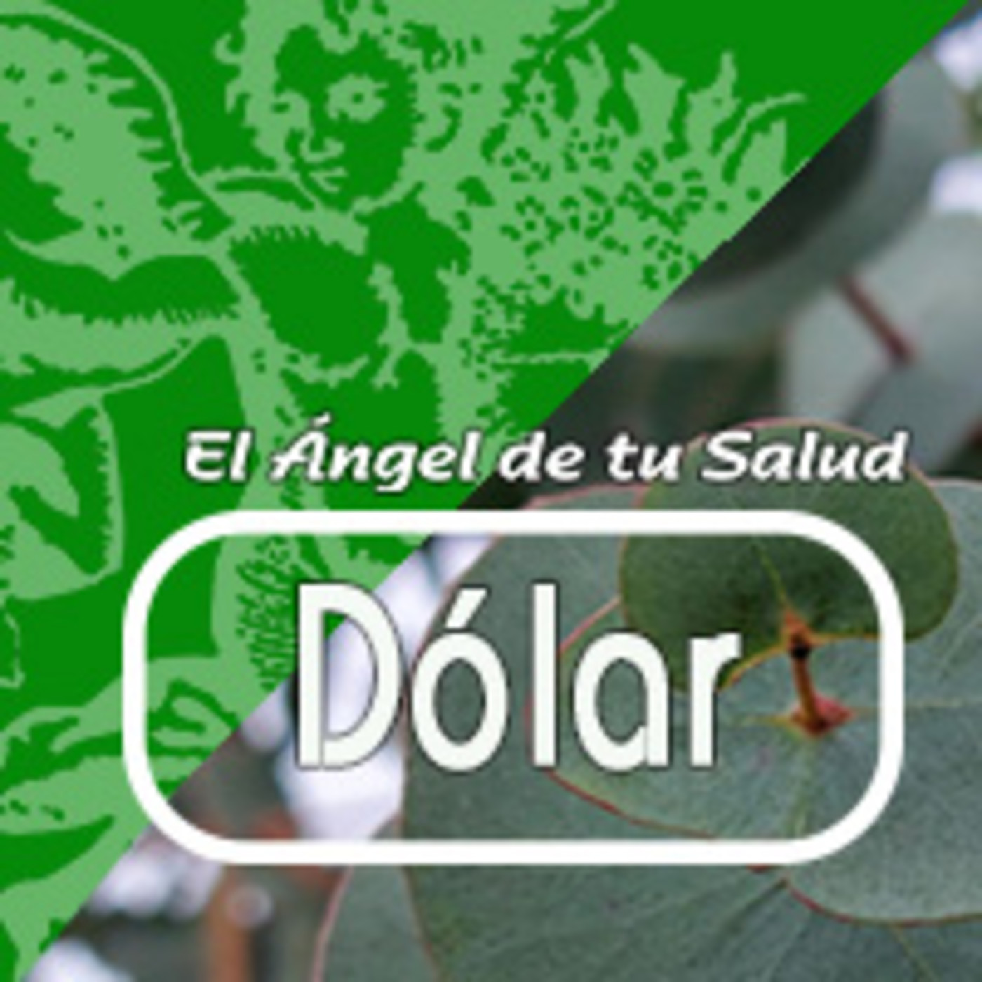 El Angel de tu Salud - DÓLAR ***