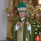 embed image