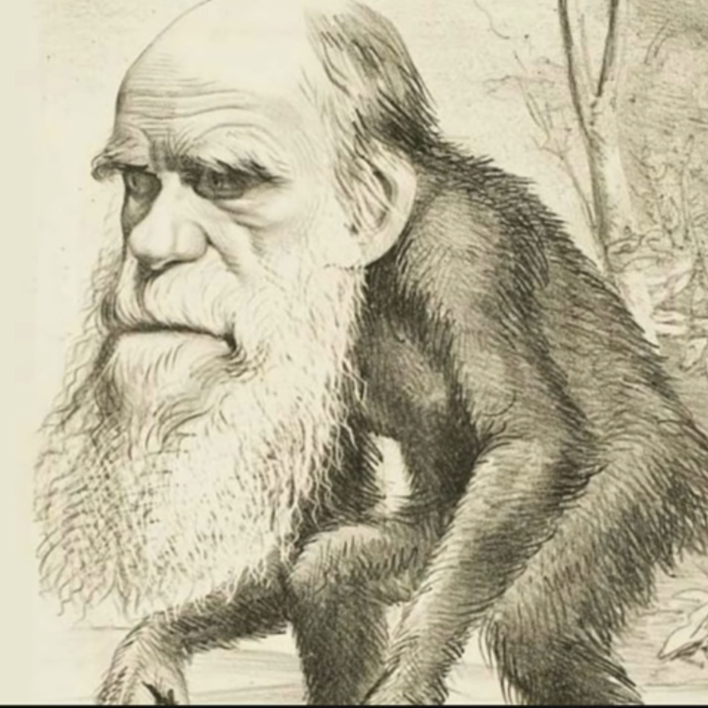 Jorge Guerra (YouTube)