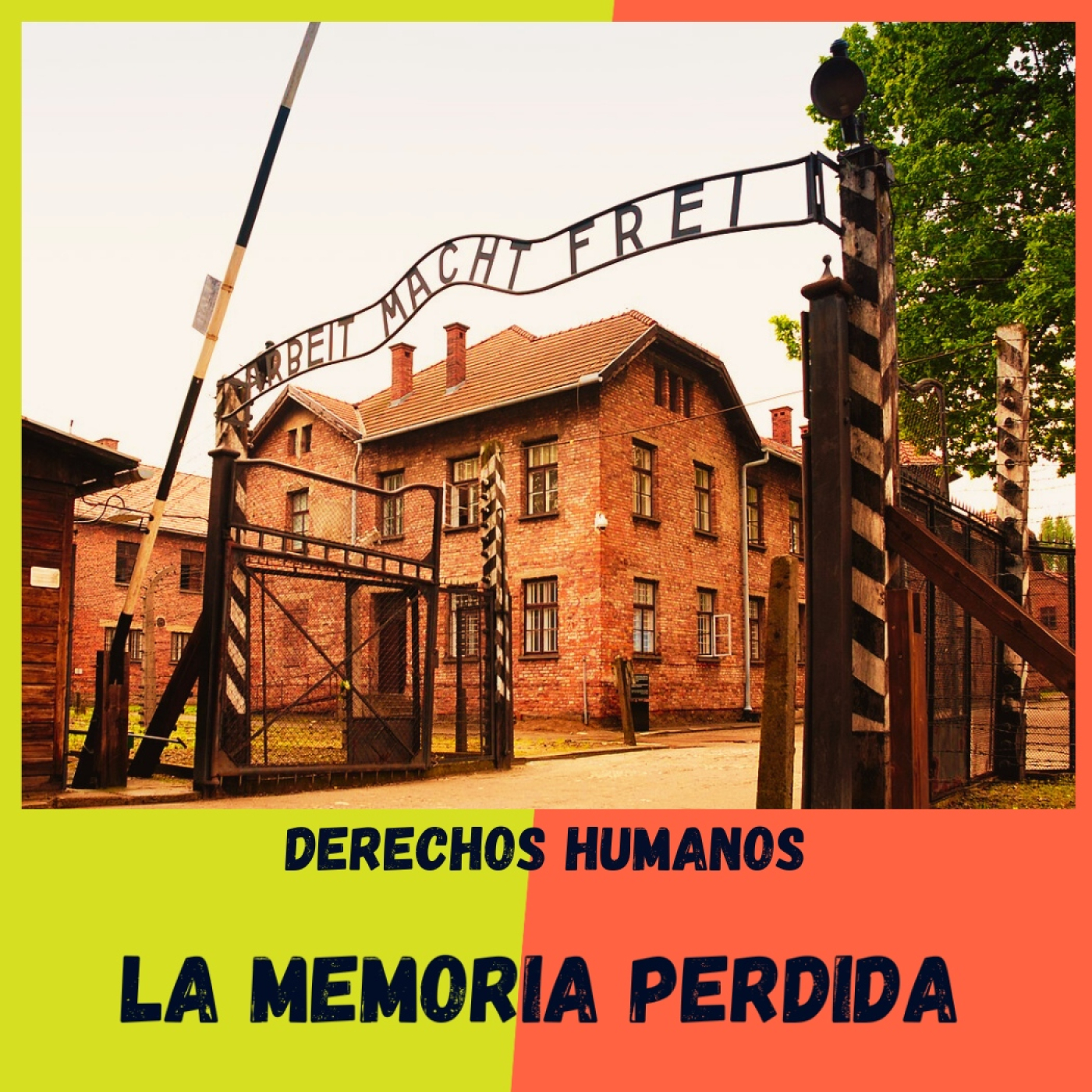 LA MEMORIA PERDIDA