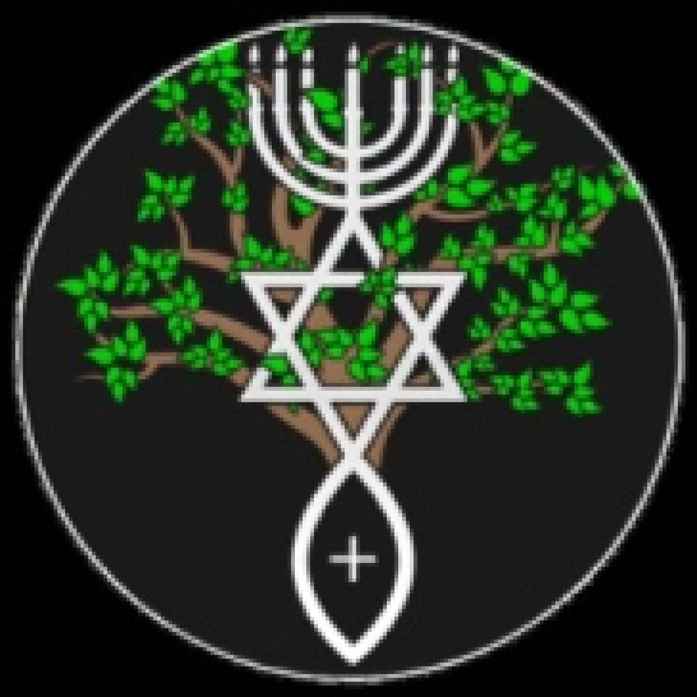 El Camino del Nazareno | Etz Jaim