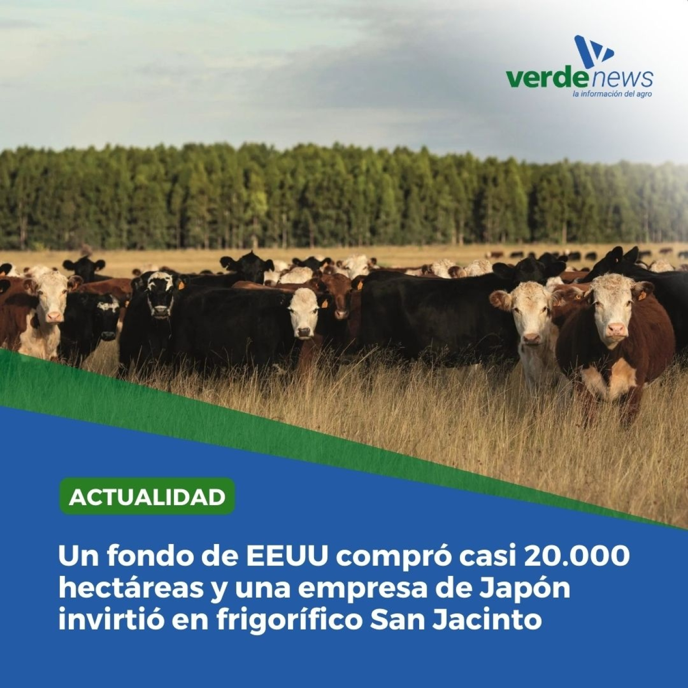 Mauro Florentin - Periodista Búsqueda Agro - 22/08/24 episode artwork