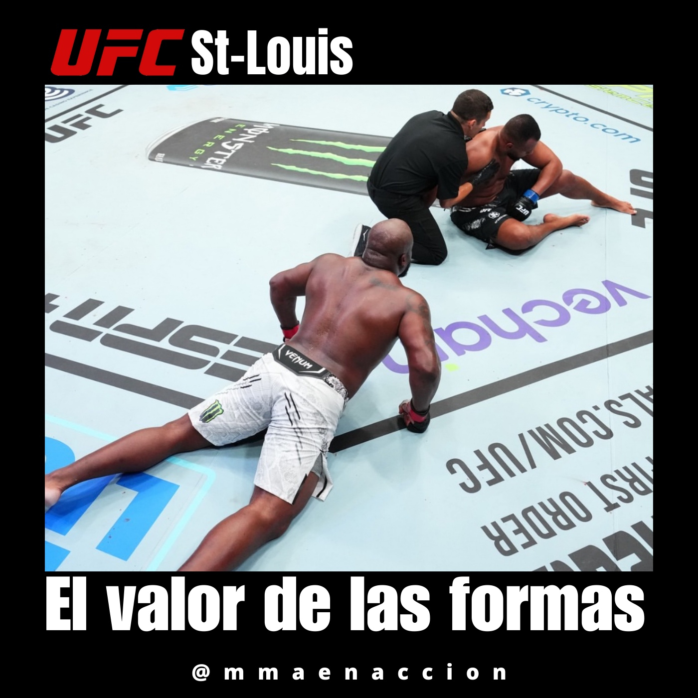MMA en acción