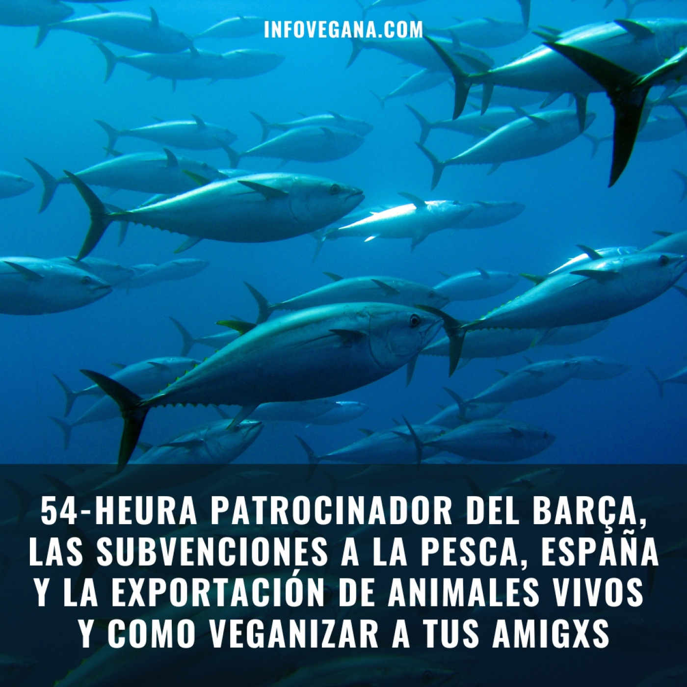 Infovegana, podcast de veganismo y sostenibilidad