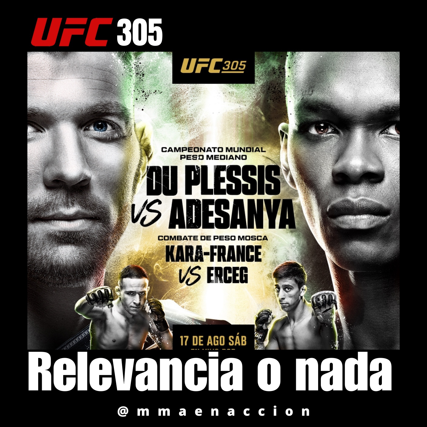MMA en acción