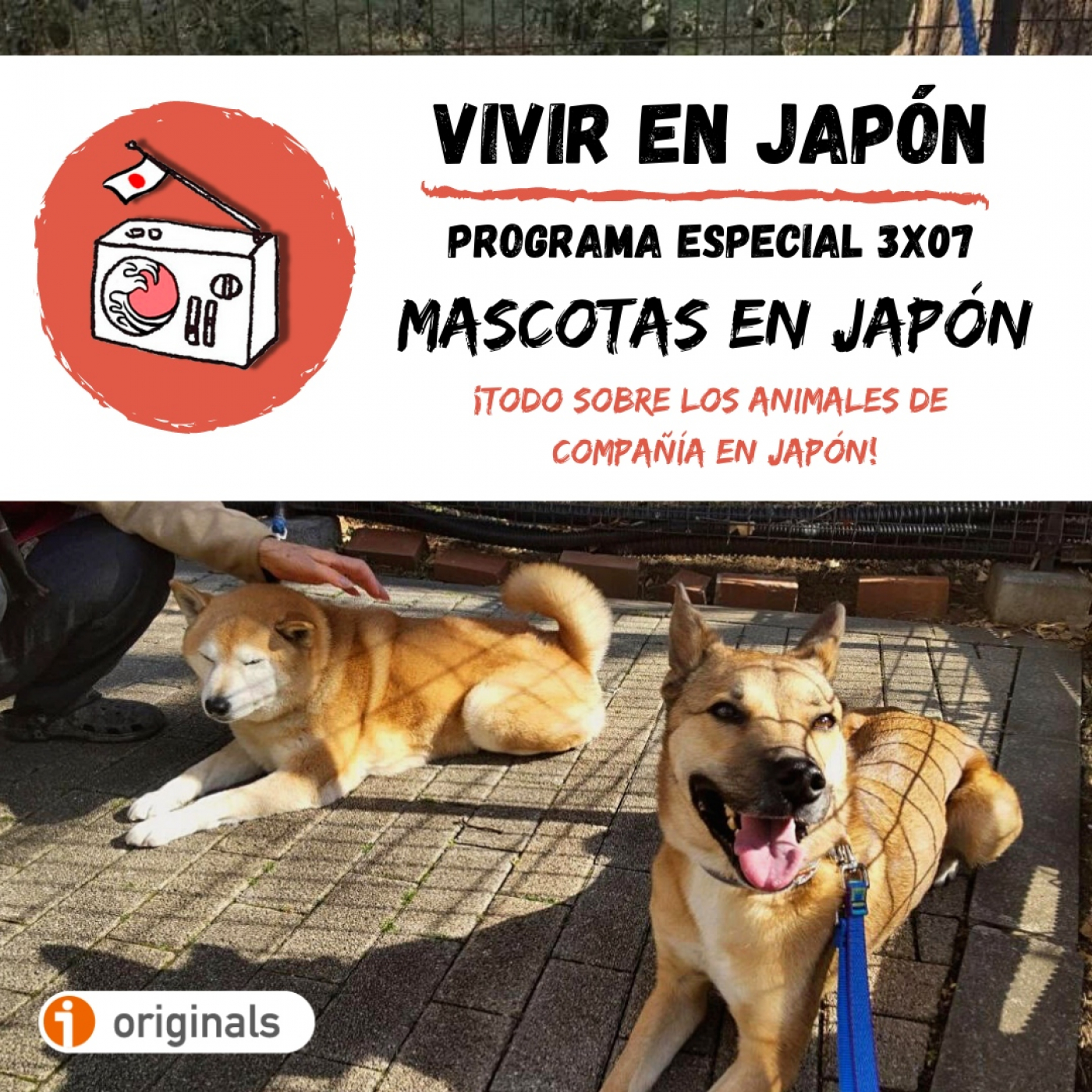 Konnichiwa desde Japón