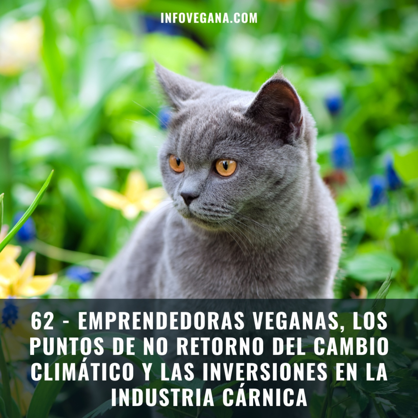 62 - EMPRENDEDORAS VEGANAS, LOS PUNTOS DE NO RETORNO DEL CAMBIO CLIMÁTICO Y LAS INVERSIONES EN LA INDUSTRIA CÁRNICA | Iv episode artwork