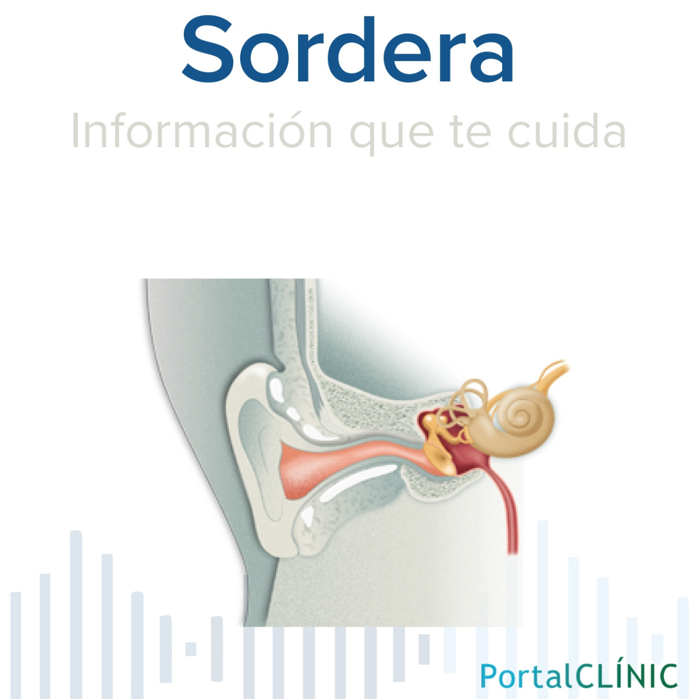 'La sordera es uno de los problemas crónicos más comunes' | Sordera | Podcast episode artwork