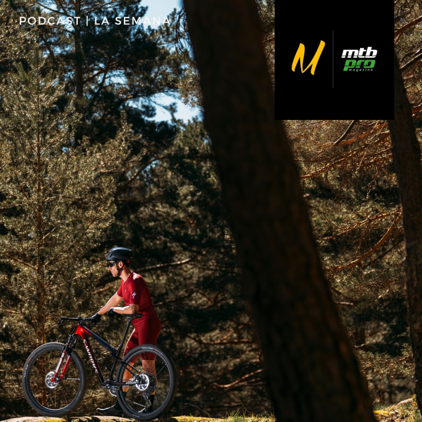 Debate Epic, Lapierre Pulsium Allroad, Trek Emonda ALR y cifras de ventas de bicis en 2022 episode artwork