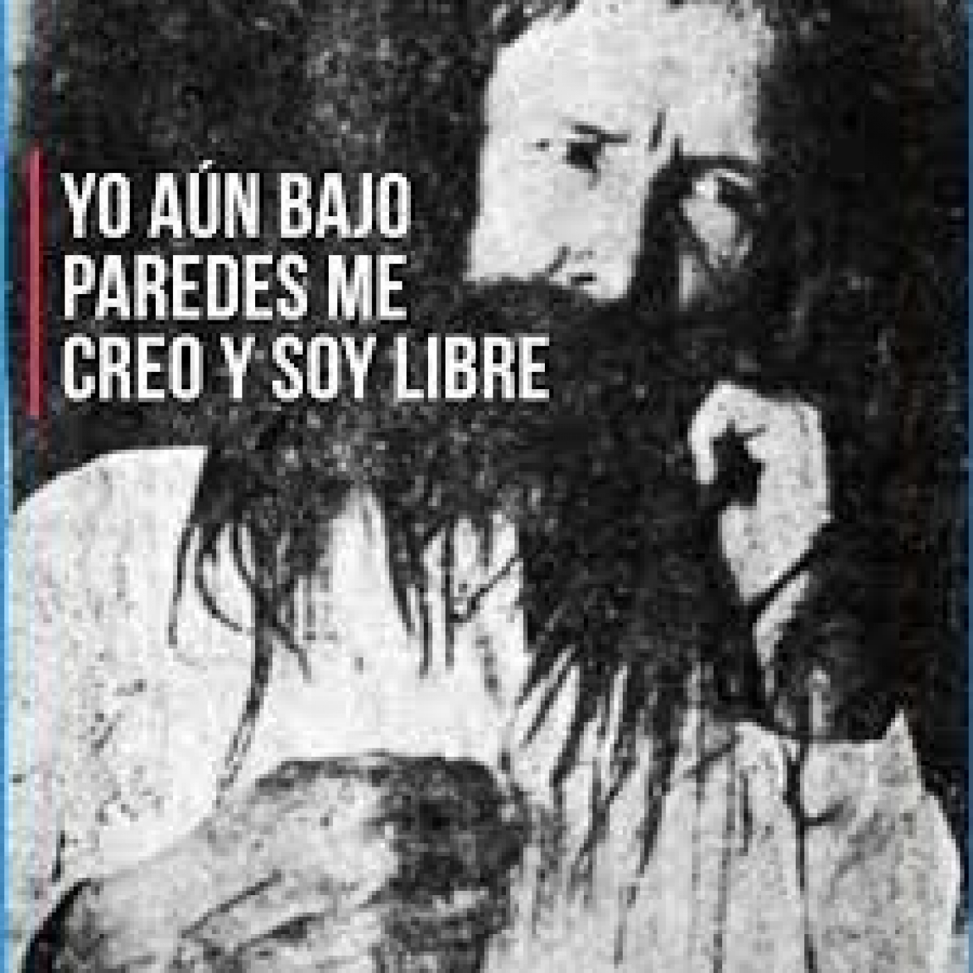 Alegría Literaria