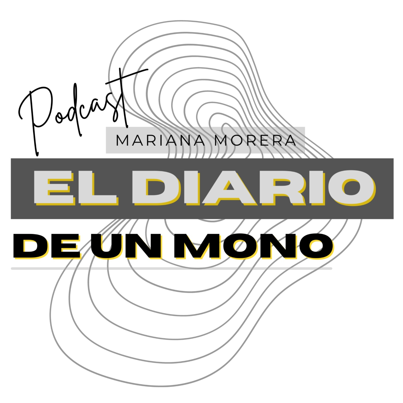 El Diario de un artista