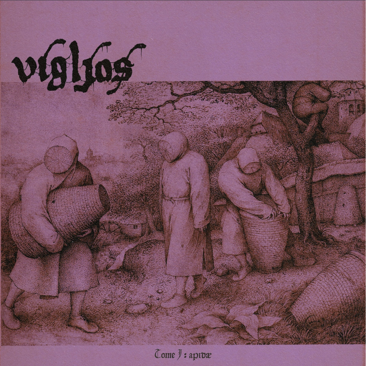 Vígljós - 2024 - Tome I: Apidæ episode artwork