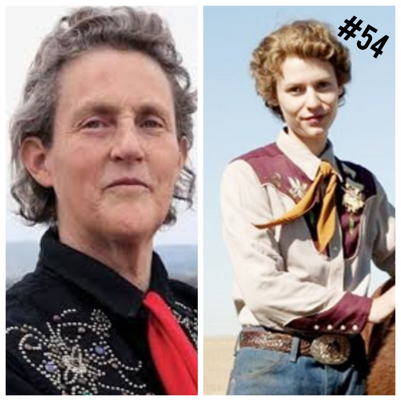 Temple Grandin, la historia de una resiliencia inspiradora. episode artwork