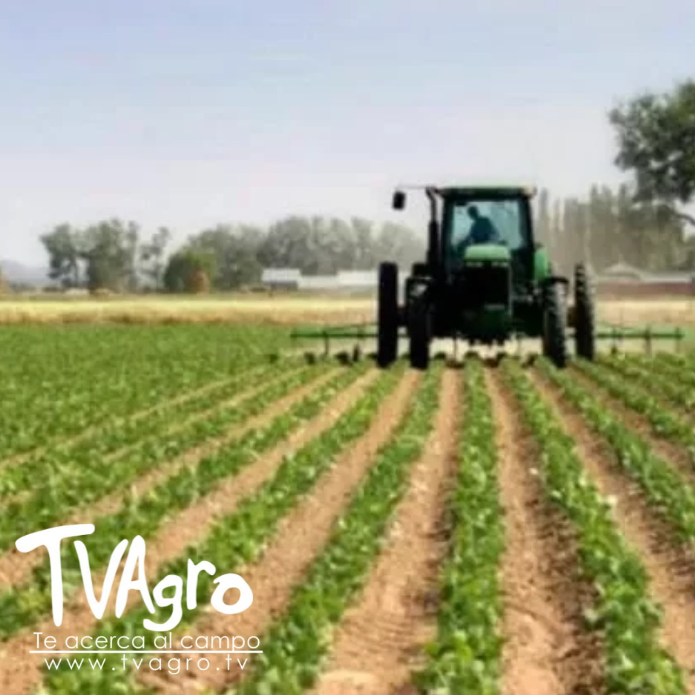 TV AGRO