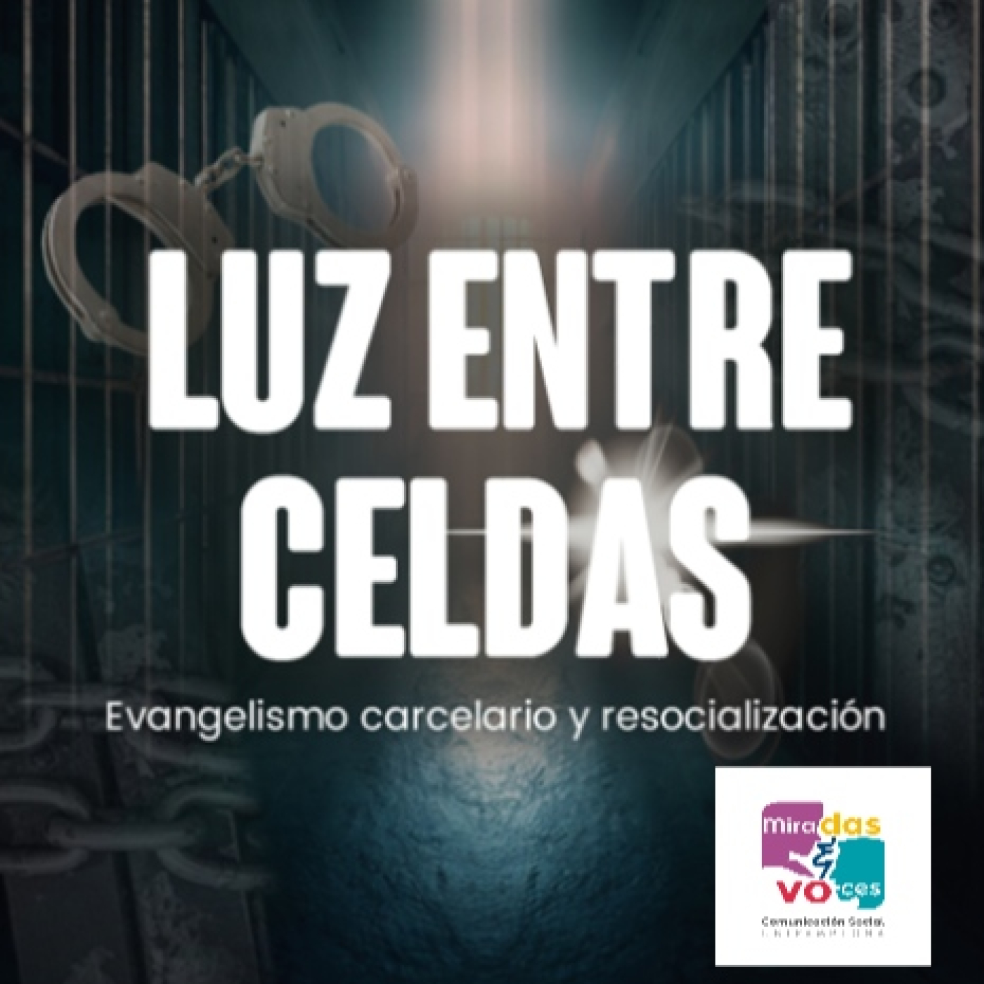 Miradas y Voces