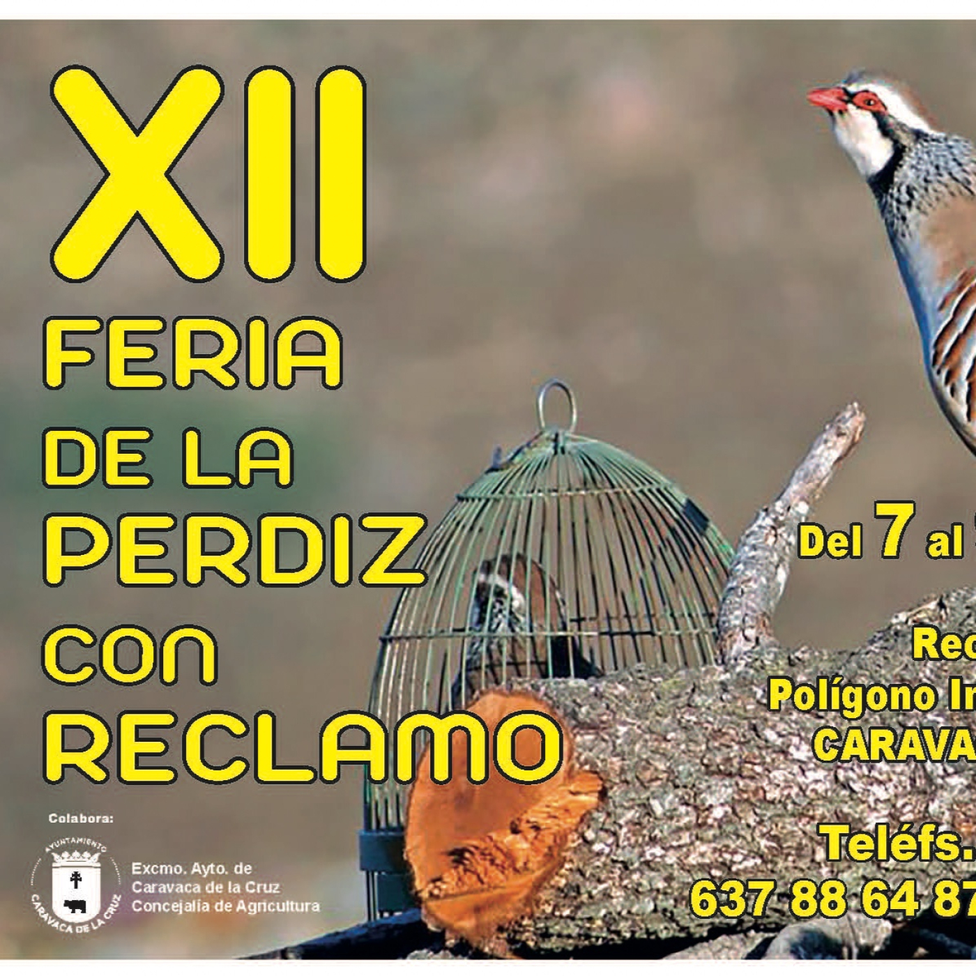 CARAVACA RADIO- Hablamos con Pepe Morales sobre la XII Feria de la perdiz con reclamo episode artwork