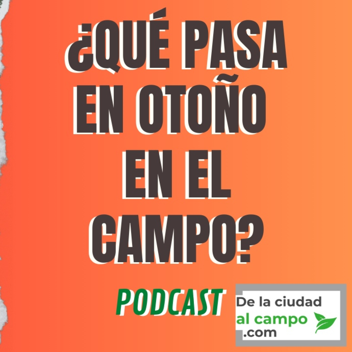 De la ciudad al campo · Vida rural sin filtros