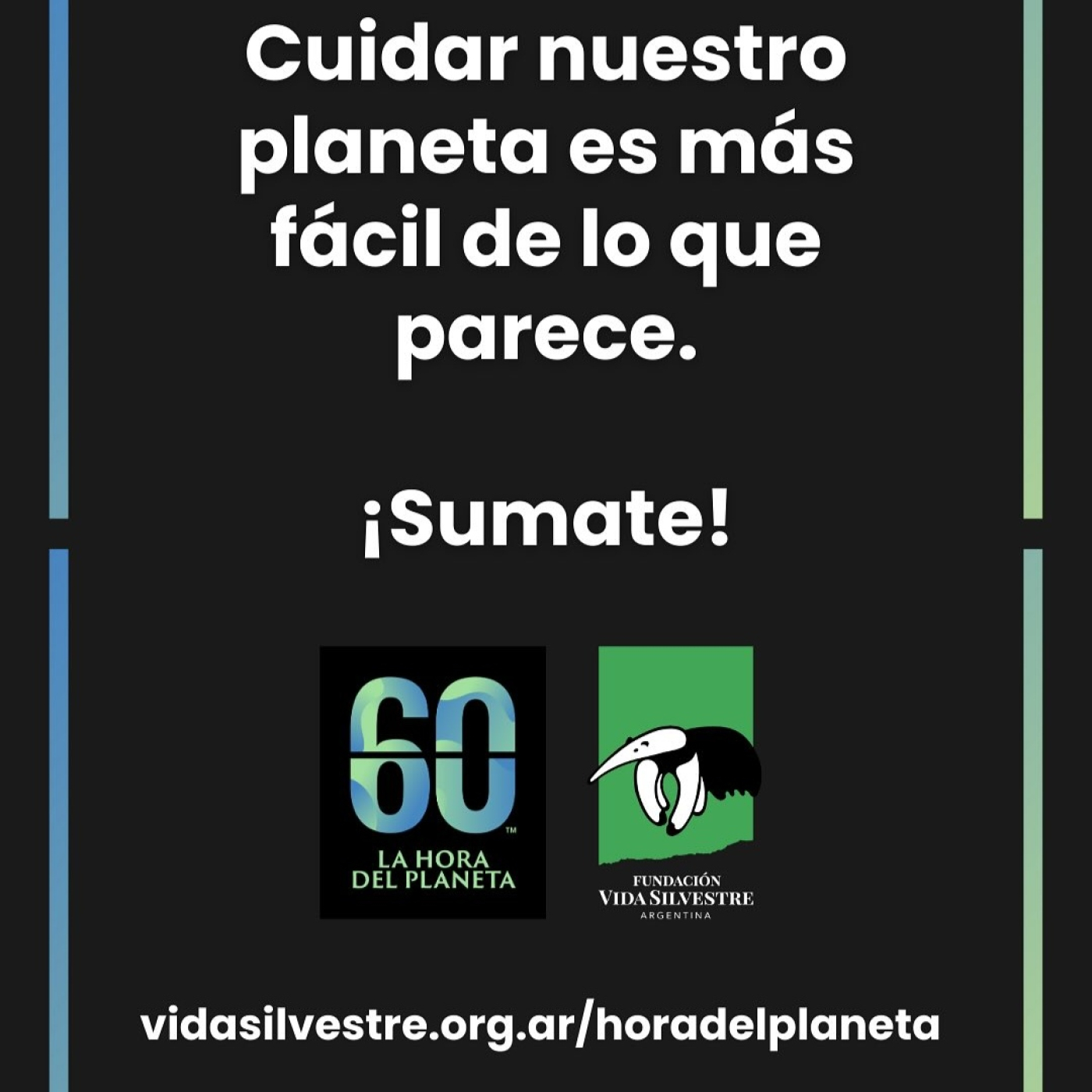 Eco Vida Ambiente