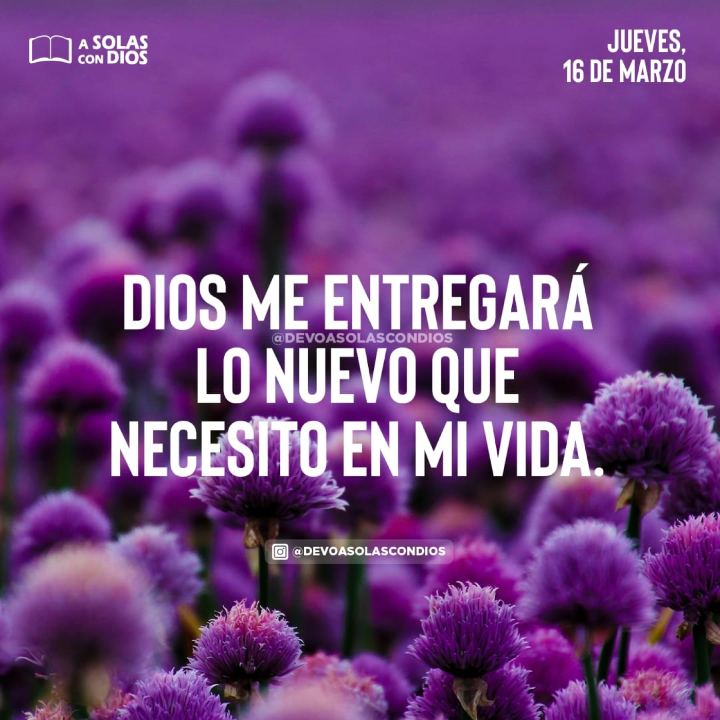 A Solas con Dios