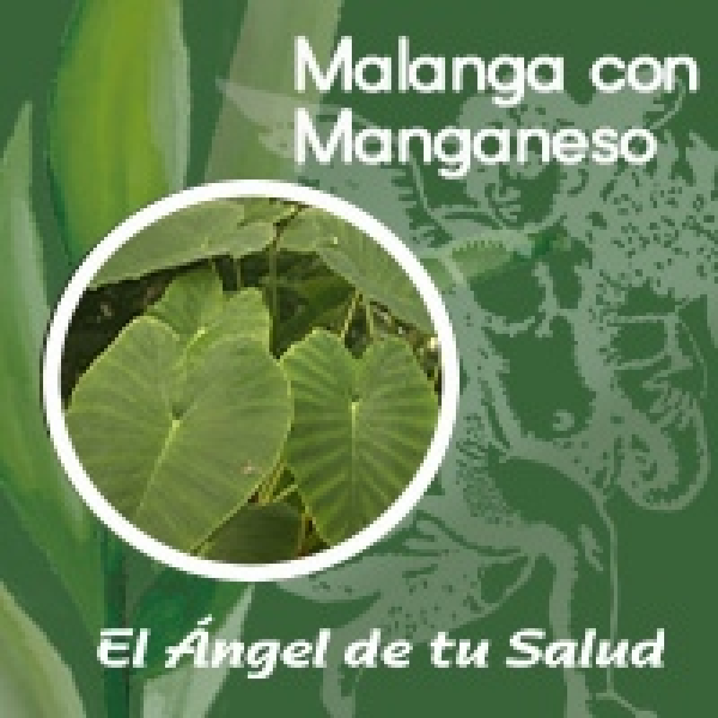 El Ángel de tu Salud - Malanga con Manganeso** episode artwork