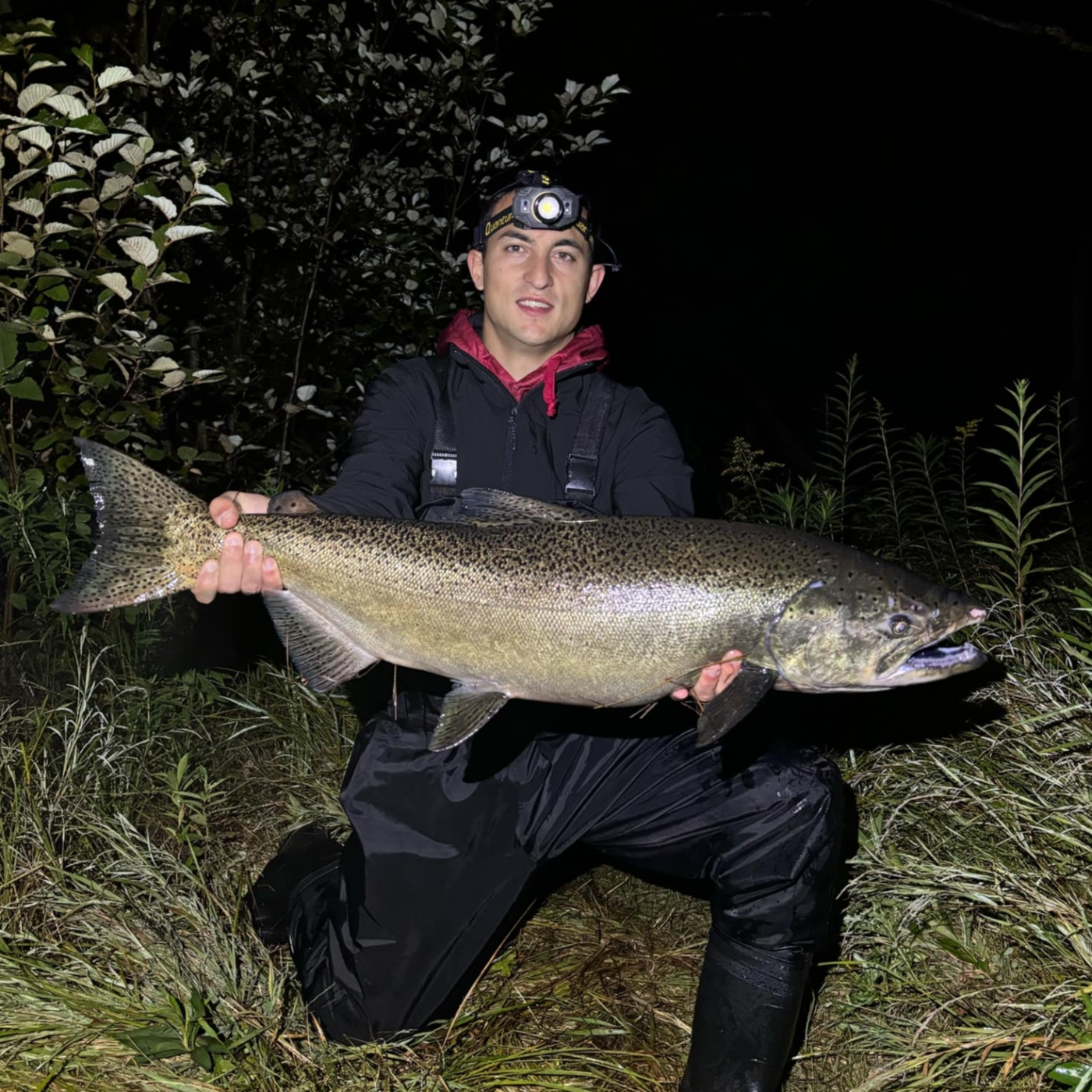 Rio de la Vida pesca