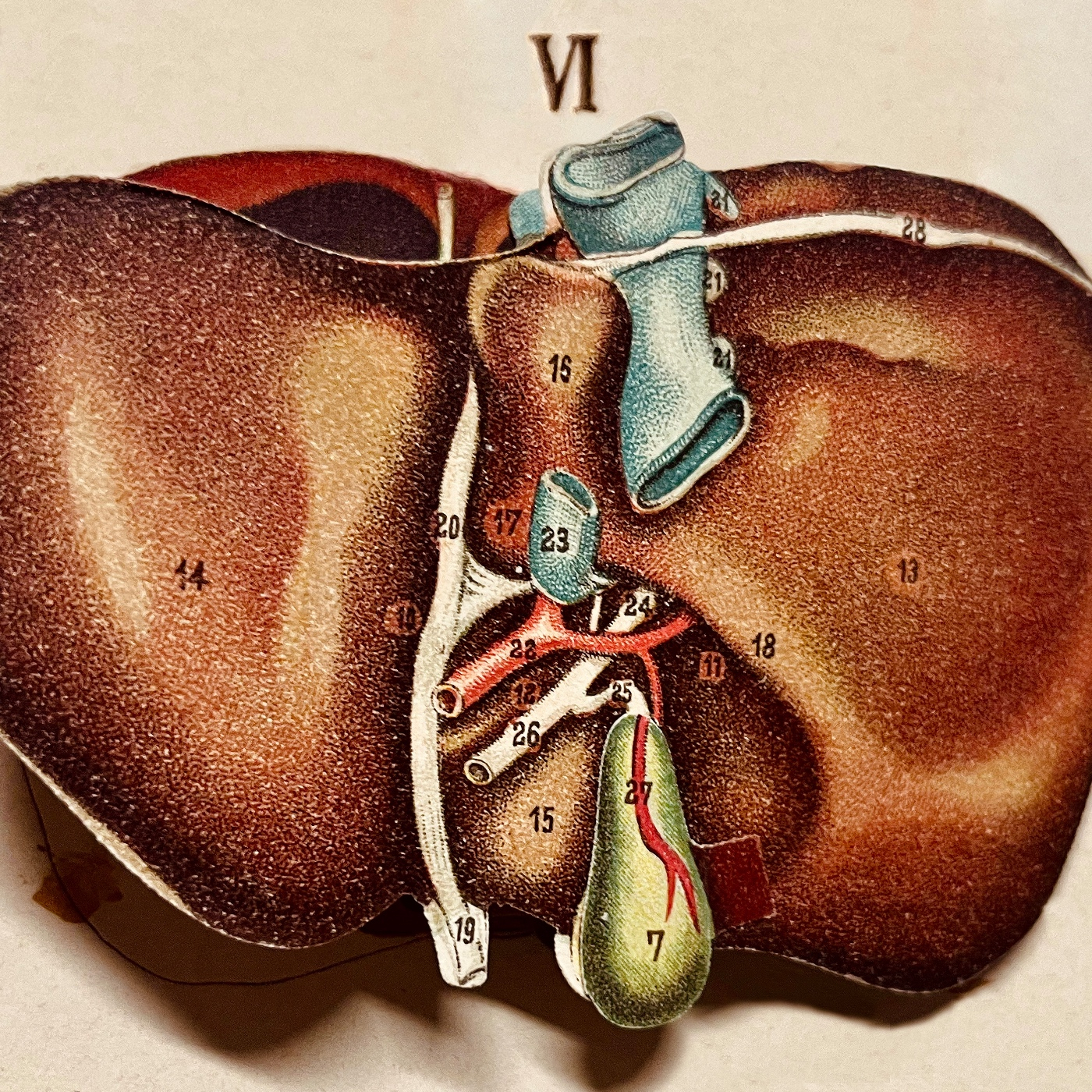 EPSA is Burning S27 E06 - Episodio exclusivo para mecenas